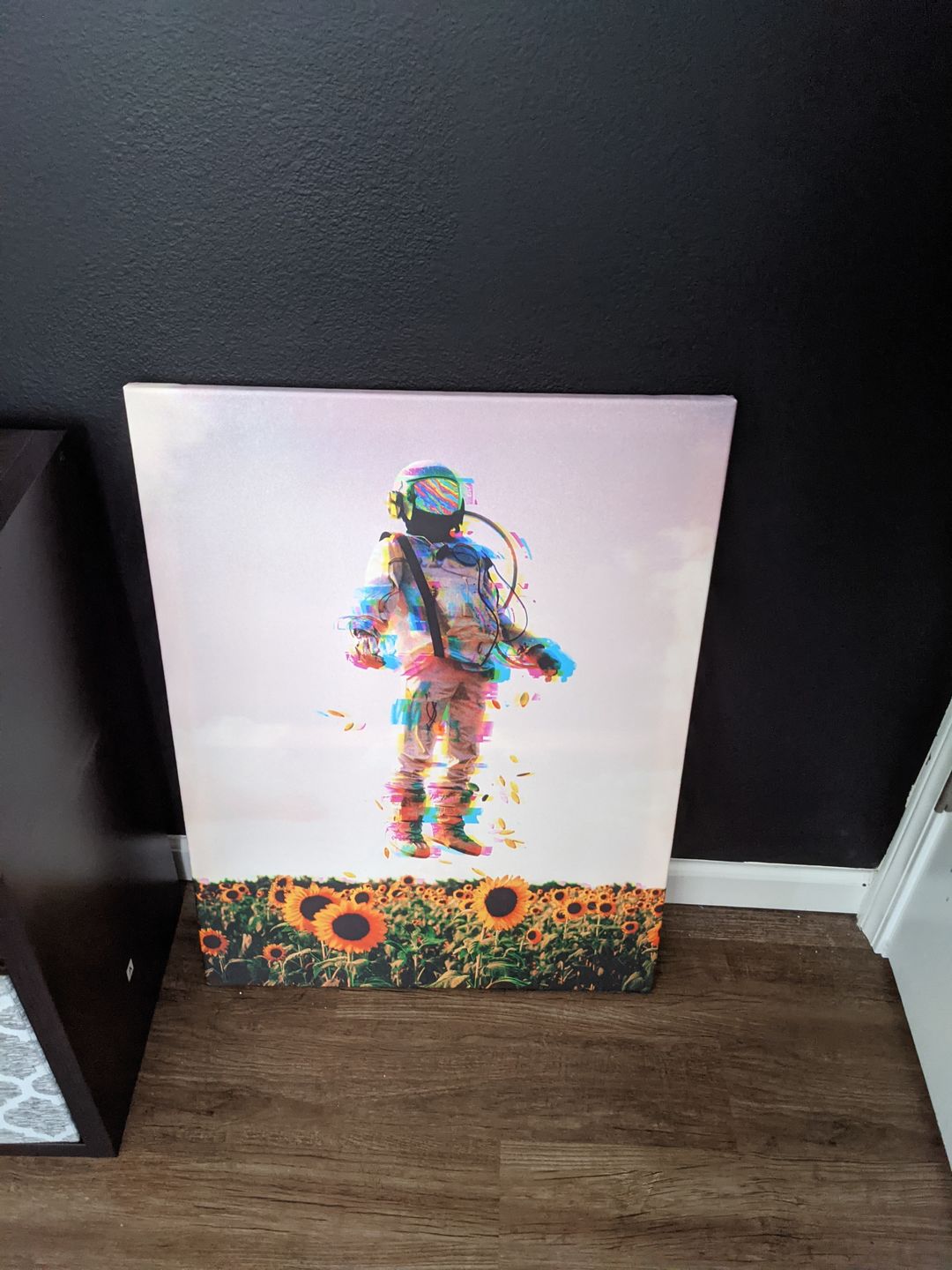 Customer photo review of The Plane Traveler Canvas Set
