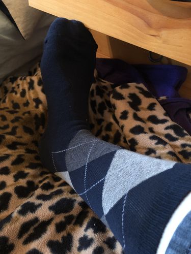 Customer photo review of Argyle Cotton Crew Sock by Vagden - CLEARANCE 3PK