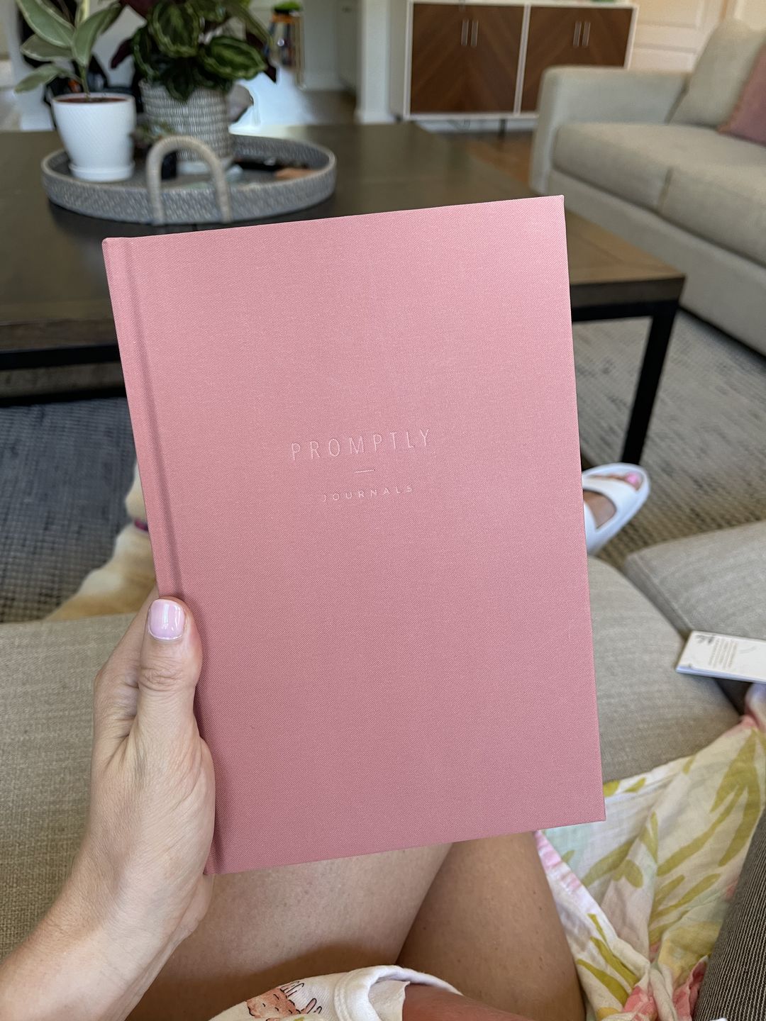 Customer photo review of Childhood History - Dusty Rose