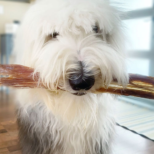 Customer photo review of 12 Inch Gullet Strips