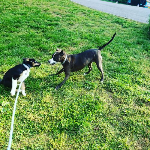 Customer photo review of All-In-One Multivitamin