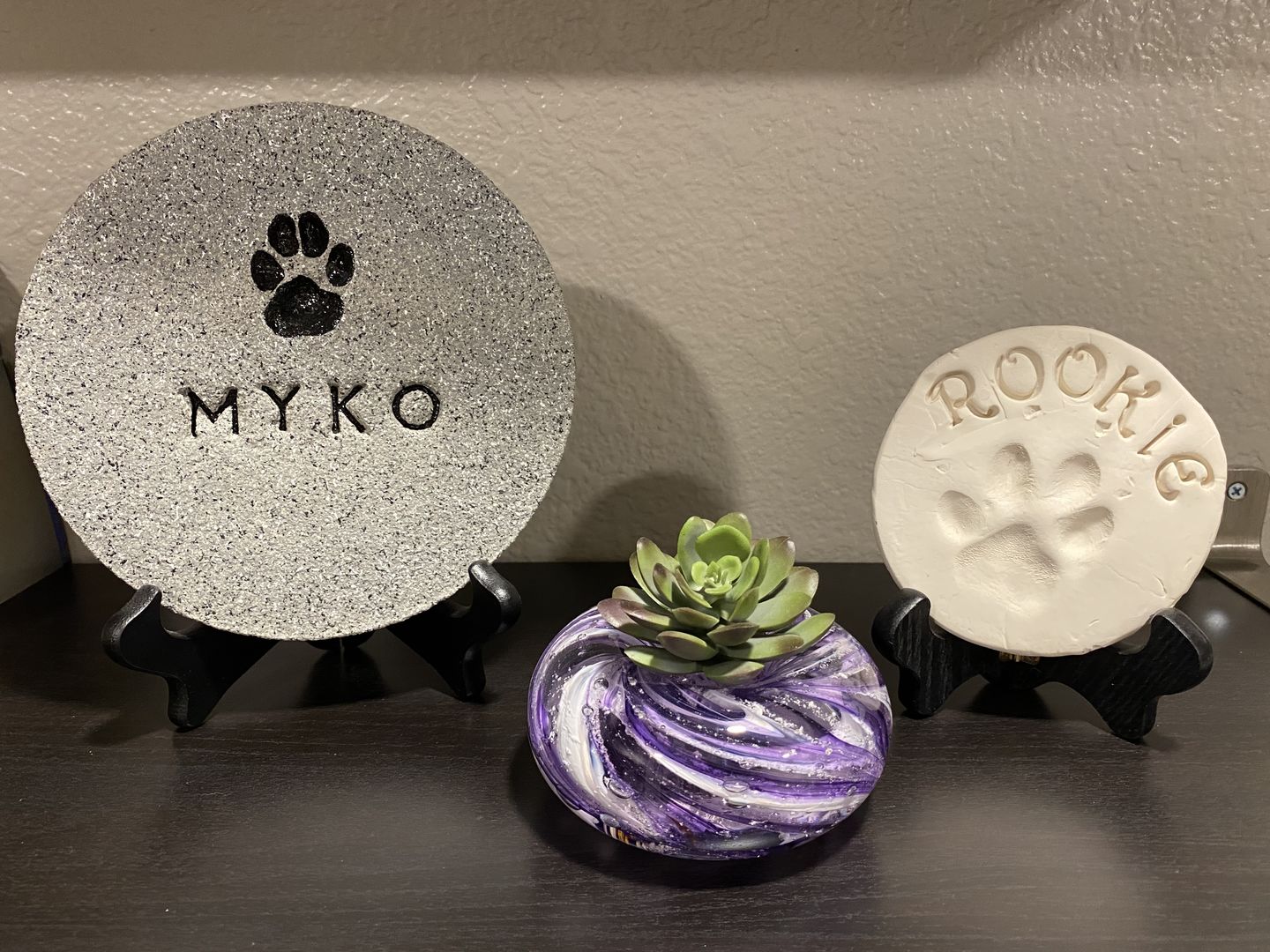 Customer photo review of Medium Air Plant Planter with Cremation Ashes