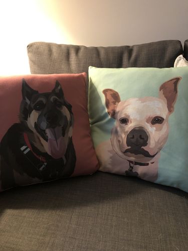 Customer photo review of Custom Pet Couch Pillow with Cover