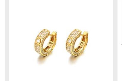 Customer photo review of Sterling Silver Designer Iced Out Hoop Earrings