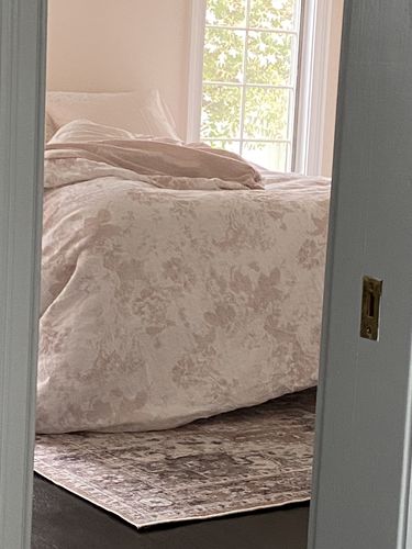 Customer photo review of Distressed Vintage Cezanne Blush Area Rug