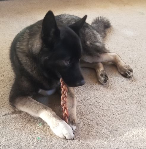 Customer photo review of Cow Ears