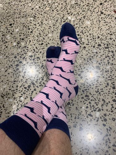 Customer photo review of Pink Stripe Dachies