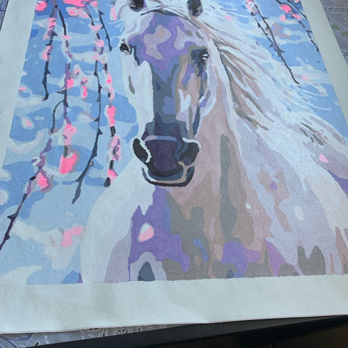 Customer photo review of Caballo blanco