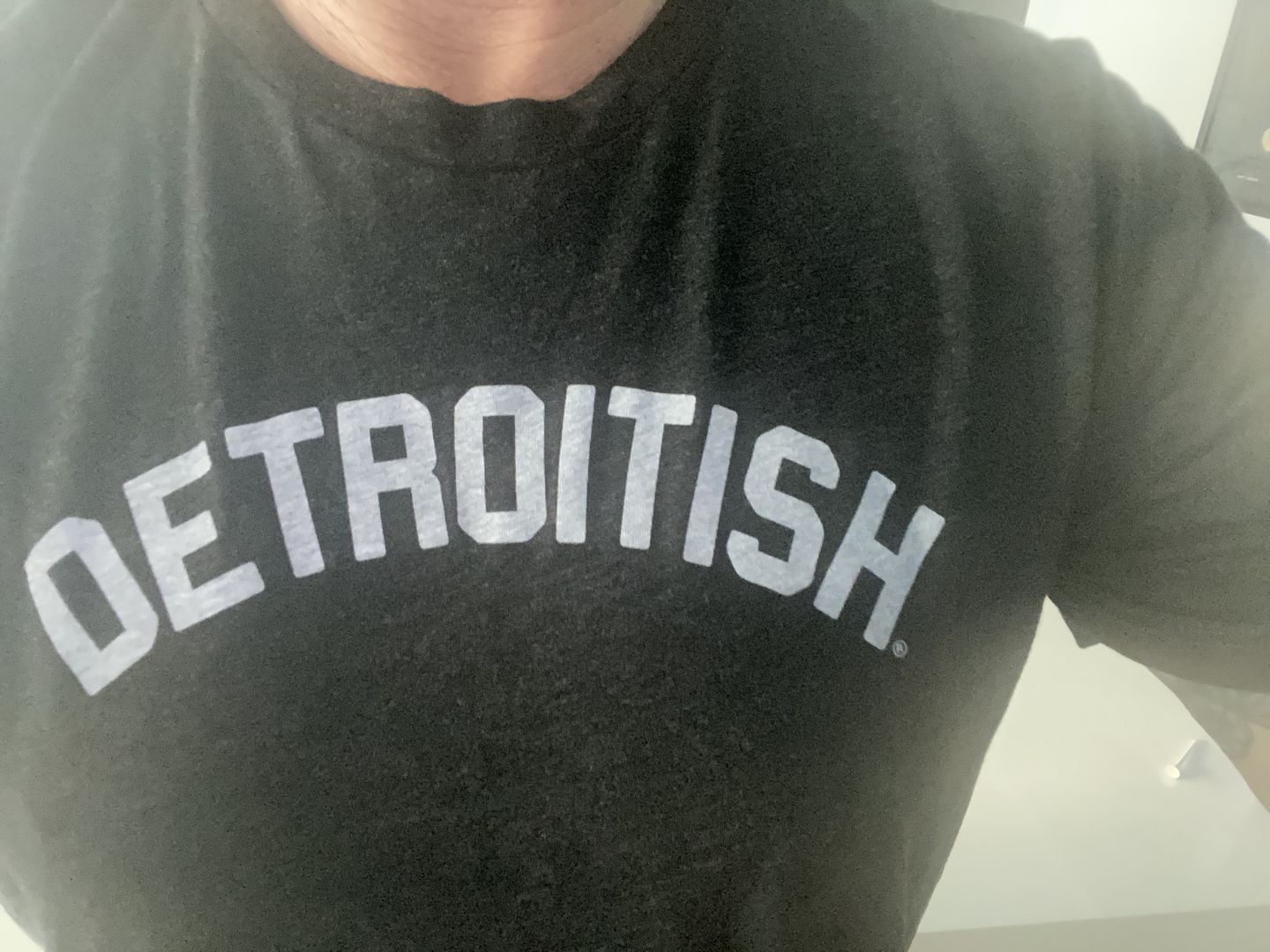 Customer photo review of Ink Detroit Detroitish Tri Blend T-Shirt - Charcoal Black