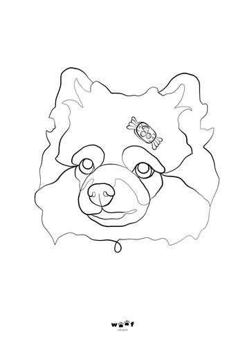 Customer photo review of Woofpalace Digital Artfile