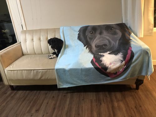Customer photo review of Custom Pet Print Fleece Blanket