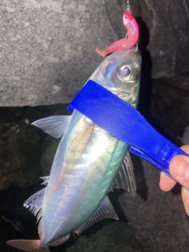 Customer photo review of Black minnow Doble Combo 3gr Rose Fluo