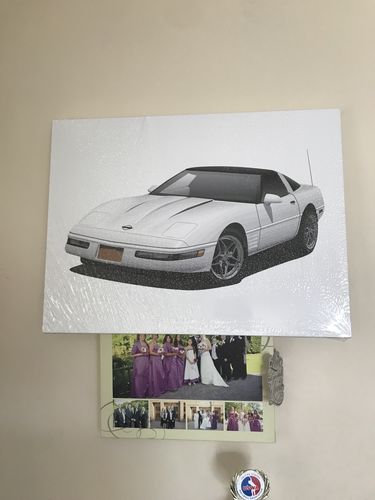 Customer photo review of Custom Car Portrait