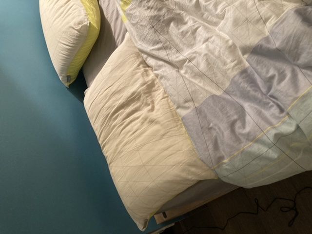 Customer photo review of Mong Sil Pillow #Hyunbin's Choice
