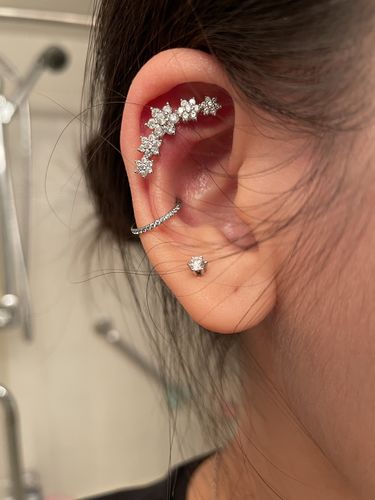 Customer photo review of Micro Paved Gems Hinged Segment Ring