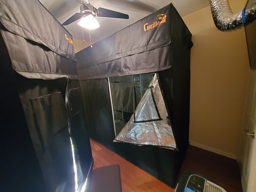 Customer photo review of Gear Board 22mm