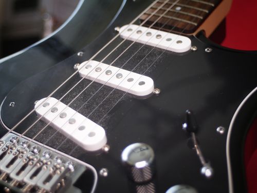 Customer photo review of Bass Freebie Pak