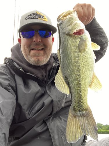 Customer photo review of Headbanger Spitfire 6.5"