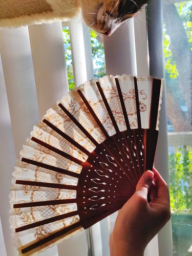 Customer photo review of Pamaypay Embroidered Hand Fan (Brown)