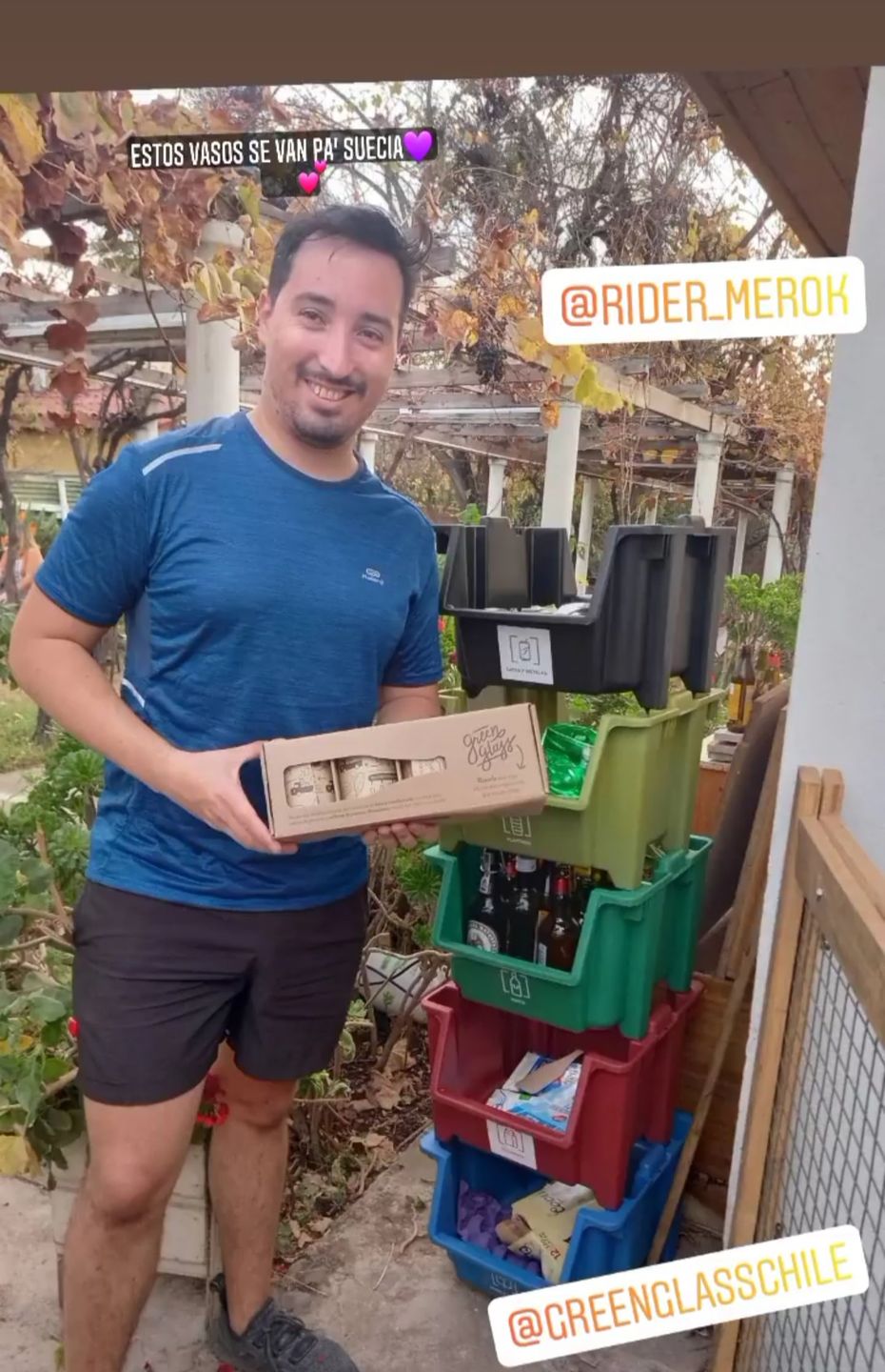 Customer photo review of Aves de Chile Juego de 4 Vasos