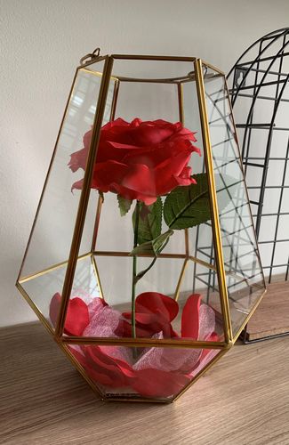 Customer photo review of Oro Hexagon Glass Hurricane