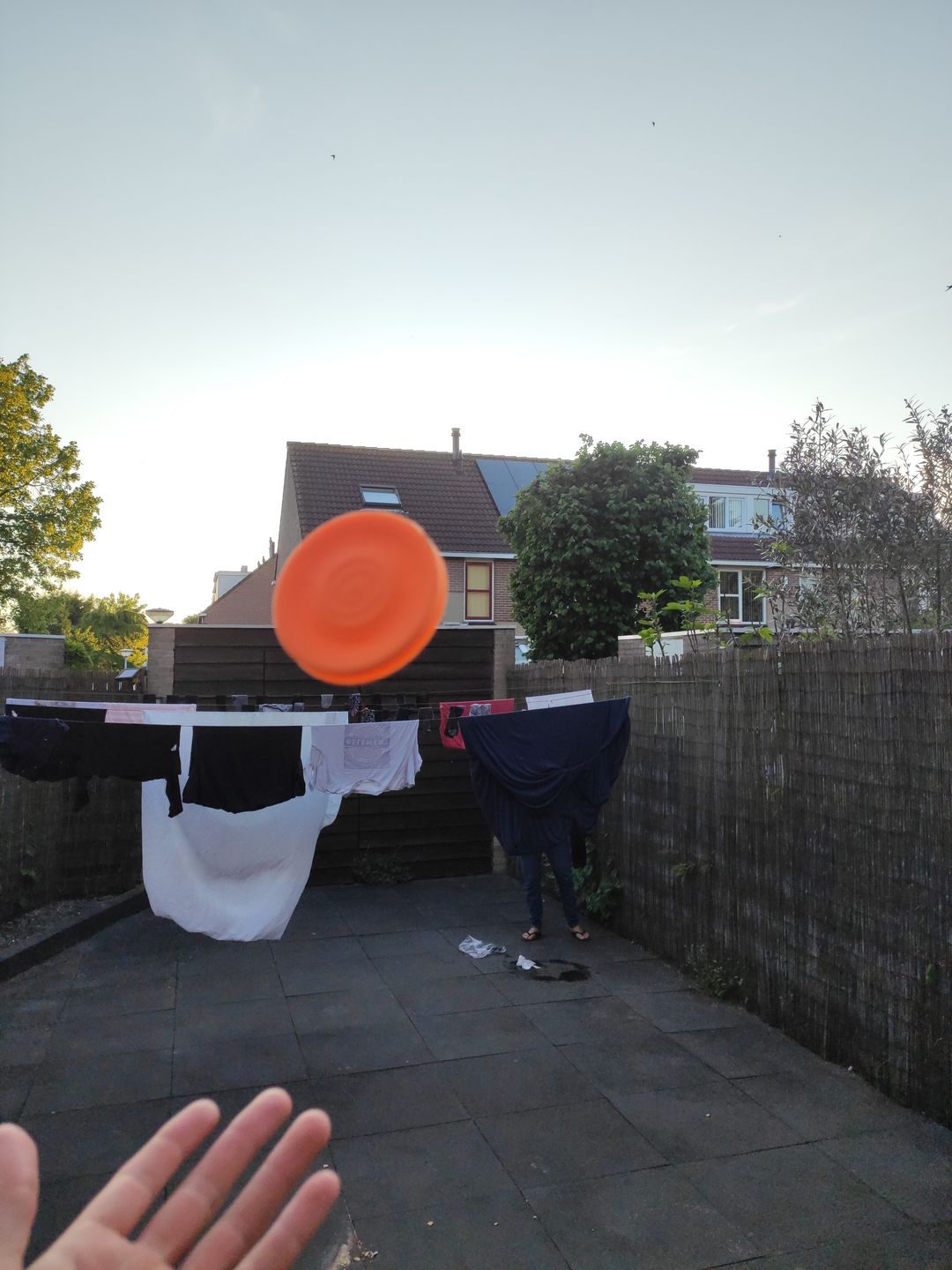 Customer photo review of Gravity Disc™️ Mini Frisbee - Orange