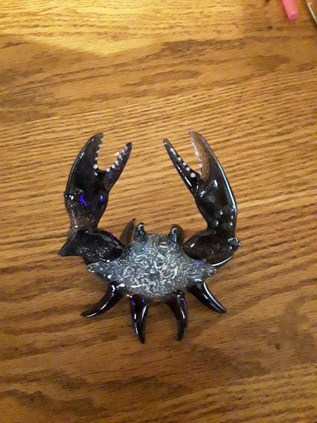 Customer photo review of Memorial Crab with Cremation Ash