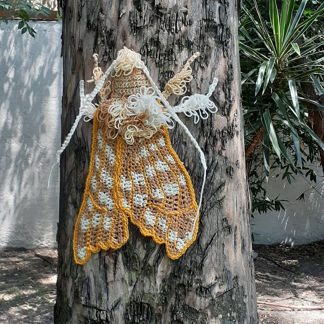 Customer photo review of Estambre Angelito, Marca Angelique, Madeja de 50g con 140m