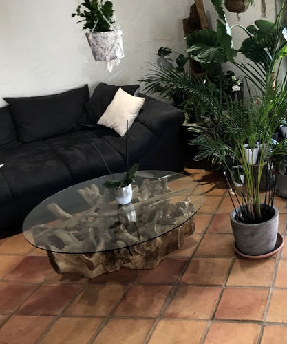 Customer photo review of Couchtisch Wurzel NAGA inkl. Glasplatte Ø 100cm