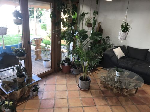 Customer photo review of Wurzelholz Tisch LARGO Rechteck 80x60 cm