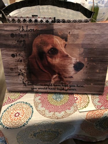 Customer photo review of Wooden Animal Portrait Sign | Personalized Canvas Wall Art