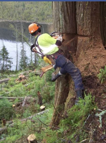 Customer photo review of SUMMER PRO