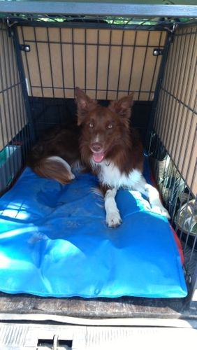 Customer photo review of Selbstkühlende Bettauflage