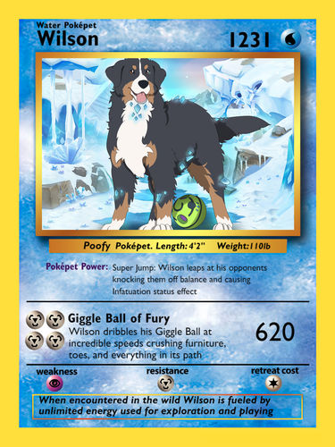 Customer photo review of PokePet Canvas