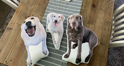 Customer photo review of Create A Custom Dog Pillow