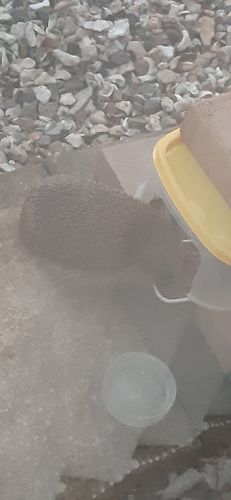 Customer photo review of Brambles Meaty Hedgehog Food