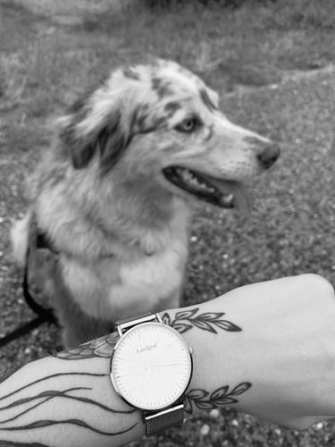 Customer photo review of World Edition Silver White