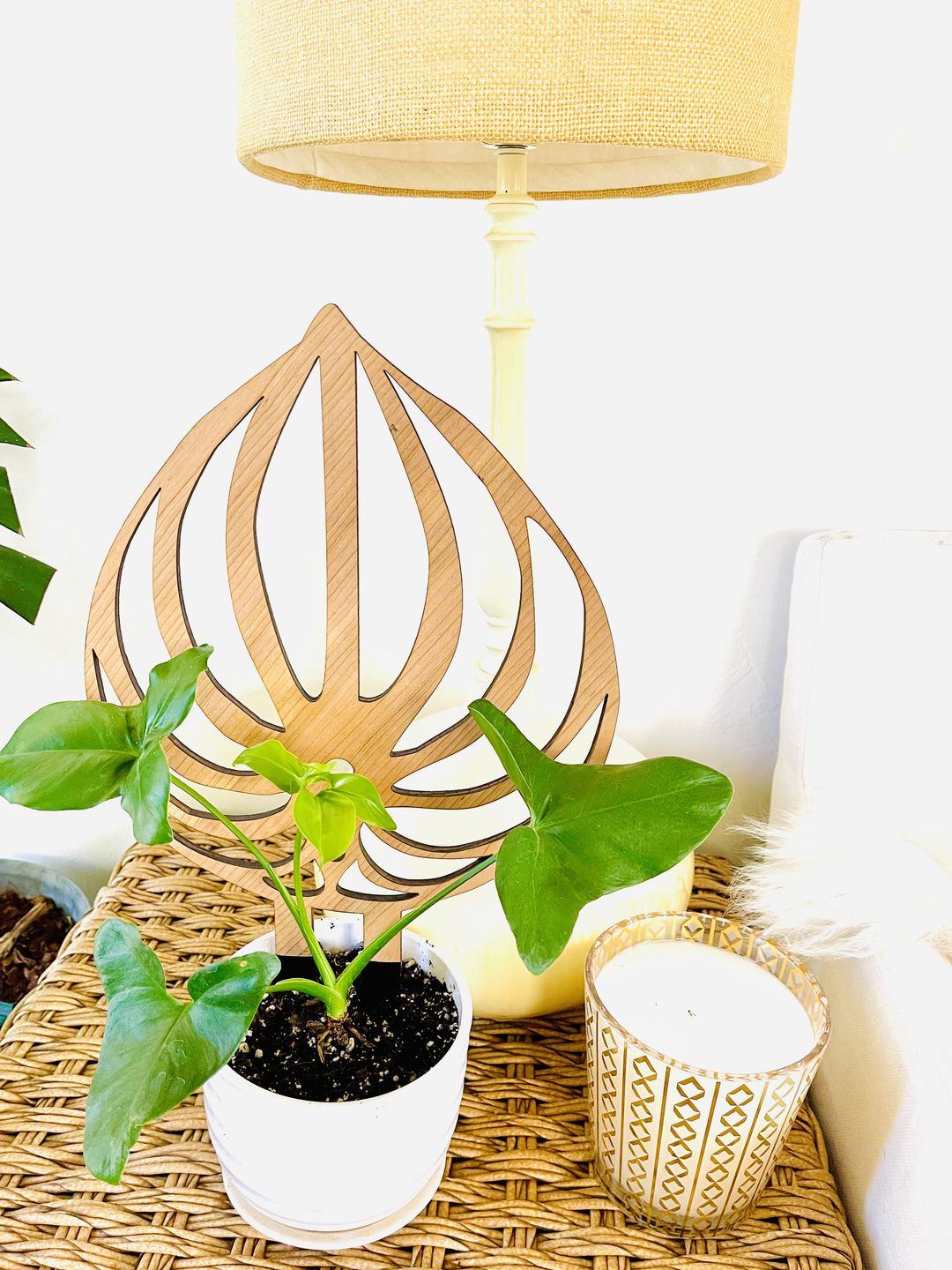 Customer photo review of Peptrella - Plant trellis inspired by watermelon peperomia