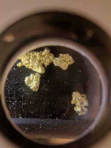 Customer photo review of Goldn Paydirt 'EUREKA' Panning Pay Dirt Bag Gold Paydirt Panning Unsearched