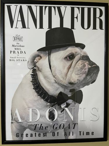 Customer photo review of Posing Pig Custom Print