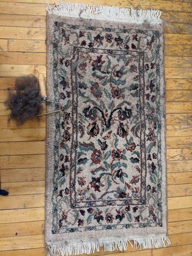 Customer photo review of Lint and Pet Hair Remover Brush