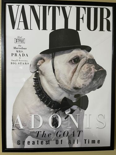Customer photo review of 18 x 24" Frame Add-On