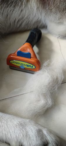 Customer photo review of ®SHEDDING - Herramienta de eliminación de pelo para mascotas