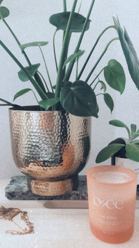 Customer photo review of THE SCENT