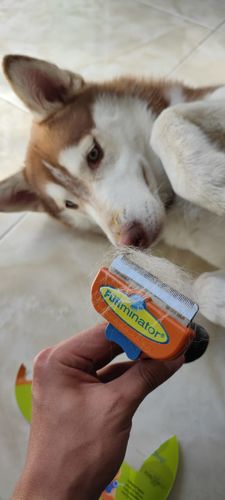 Customer photo review of ®SHEDDING - Herramienta de eliminación de pelo para mascotas