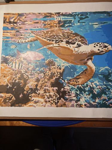 Malen Nach Zahlen Experte Bewertungen - 647 Bewertungen