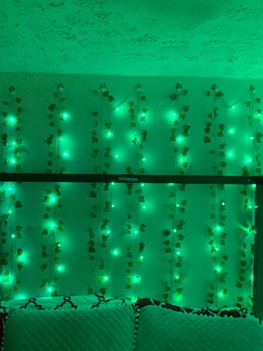 Customer photo review of Wall Vines
