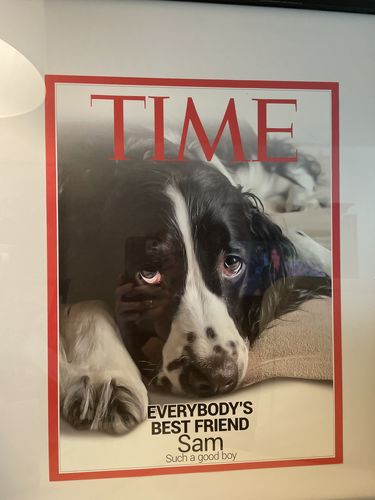 Customer photo review of 12 x 16" Frame Add-On