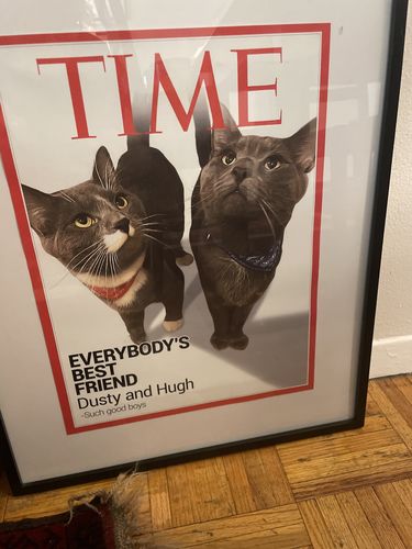 Customer photo review of Posing Pig Custom Print