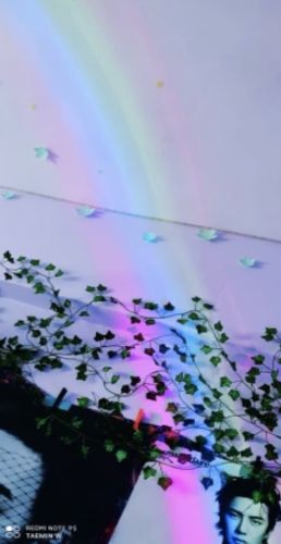 Customer photo review of Vespani Rainbow Projector
